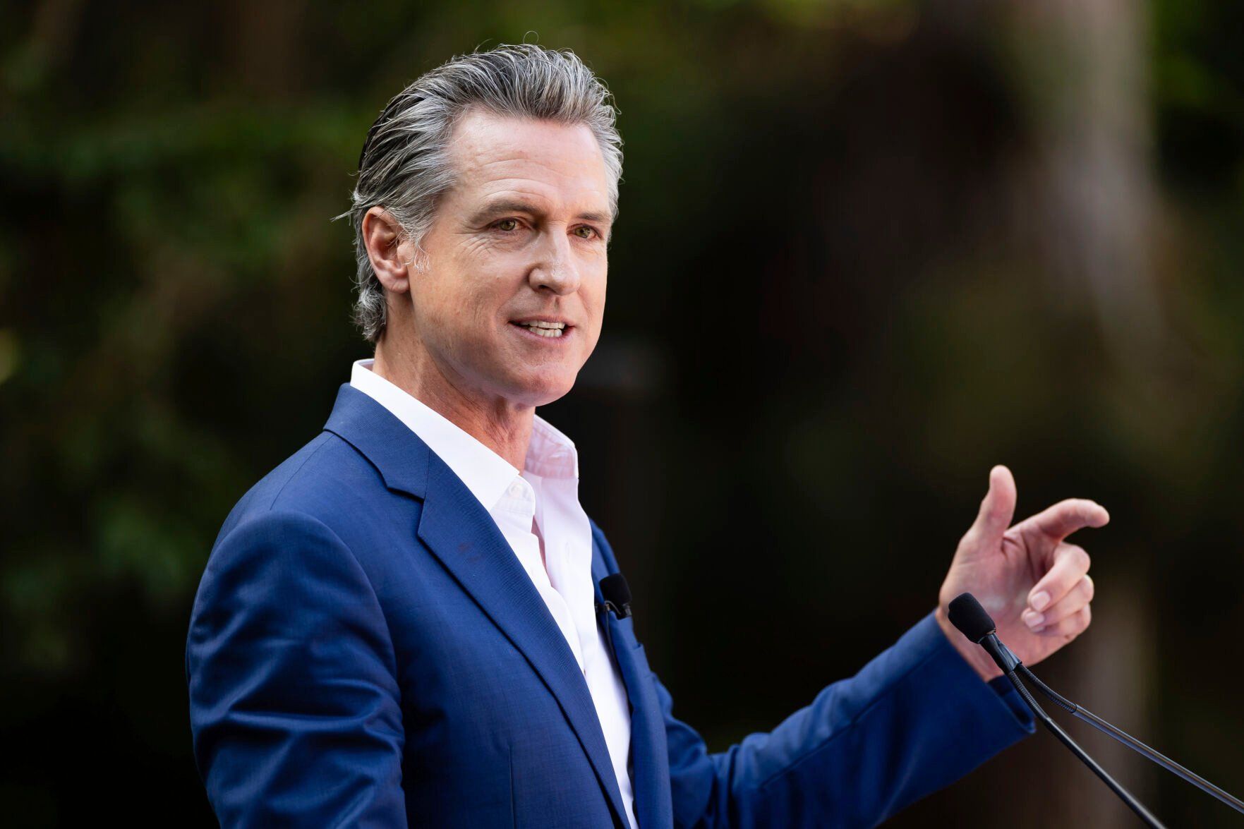 FILE - California Gov. Gavin Newsom speaks at the San Diego Zoo, Aug. 8, 2024, in San Diego. (AP Photo/Derrick Tuskan, File)    PHOTO CREDIT: Associated Press