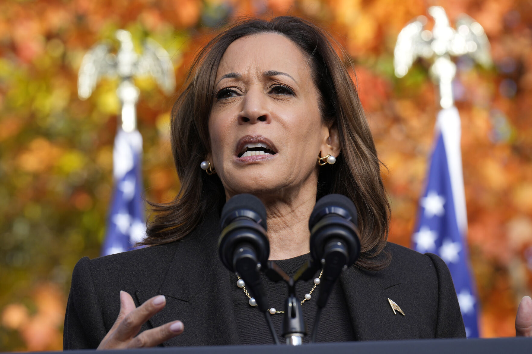 <p>FILE - Democratic presidential nominee Vice President Kamala Harris speaks during a campaign event at Riverside Park in Grand Rapids, Mich., on Oct. 18, 2024. (AP Photo/Jacquelyn Martin, File)</p>   PHOTO CREDIT: Jacquelyn Martin - staff, ASSOCIATED PRESS