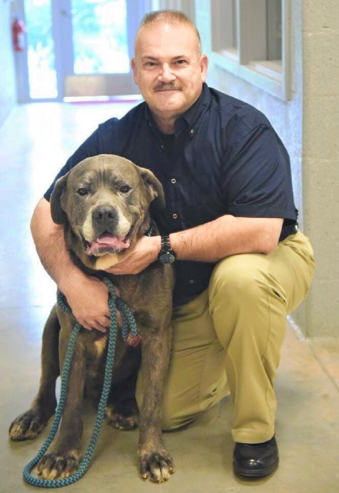 Bob Citrullo is the new Dubuque Regional Humane Society executive director.    PHOTO CREDIT: Contributed