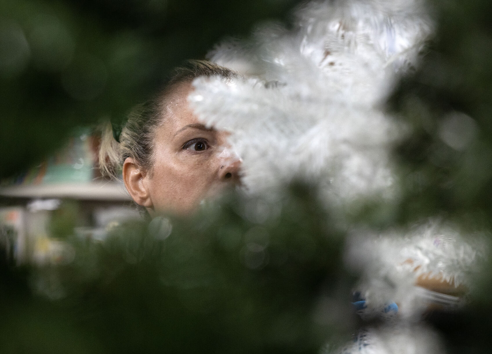 Sara Oglesby shops for a Christmas tree at Triple J Liquidation in Dubuque on Friday, Nov. 15, 2024.    PHOTO CREDIT: Stephen Gassman