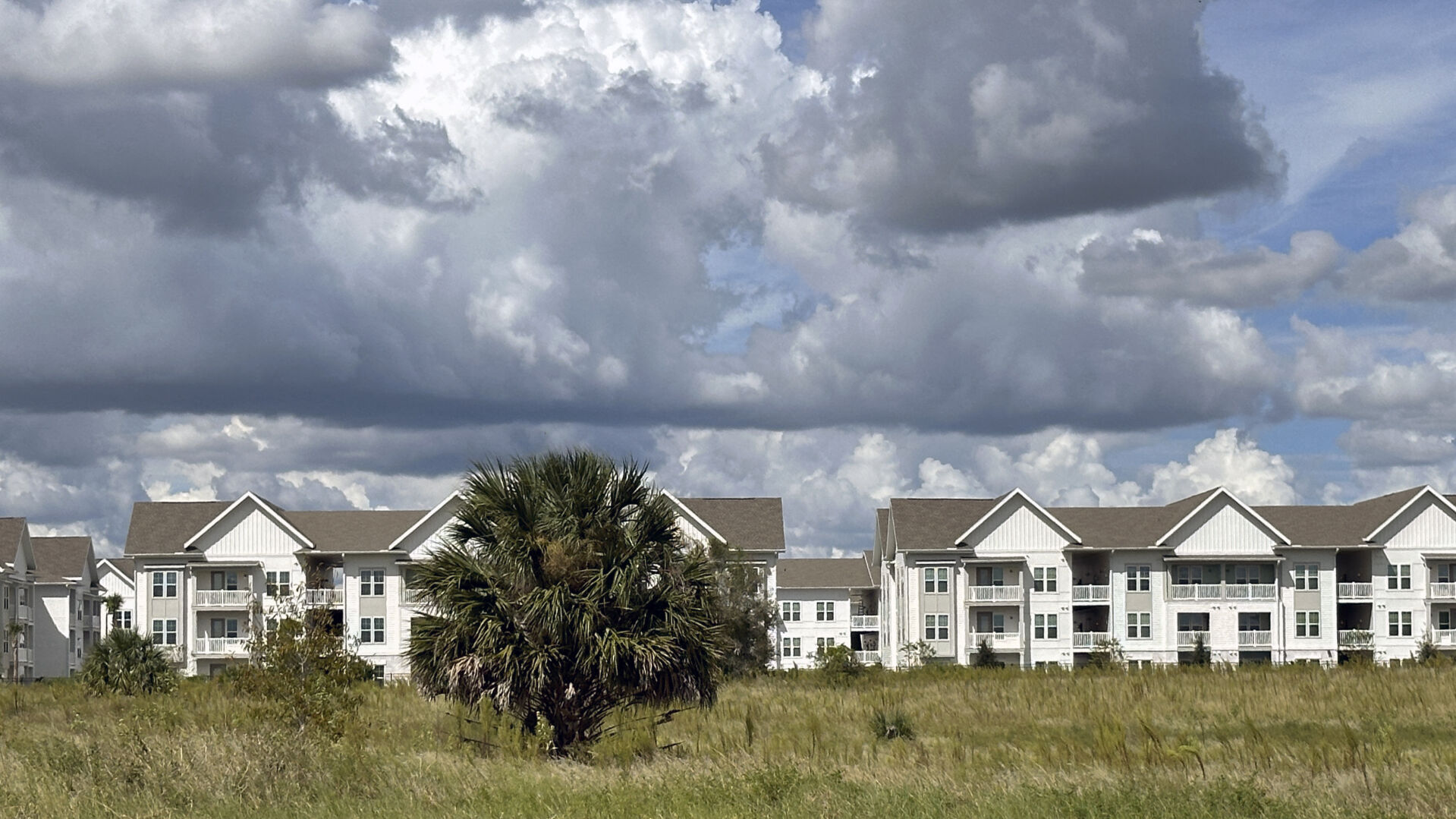 <p>The newly-constructed The Brightly Apartments rises from what was formally a citrus grove nearby Haines City, Florida Saturday, Oct. 5, 2024. (AP Photo/Mike Schneider)</p>   PHOTO CREDIT: Mike Schneider - staff, ASSOCIATED PRESS