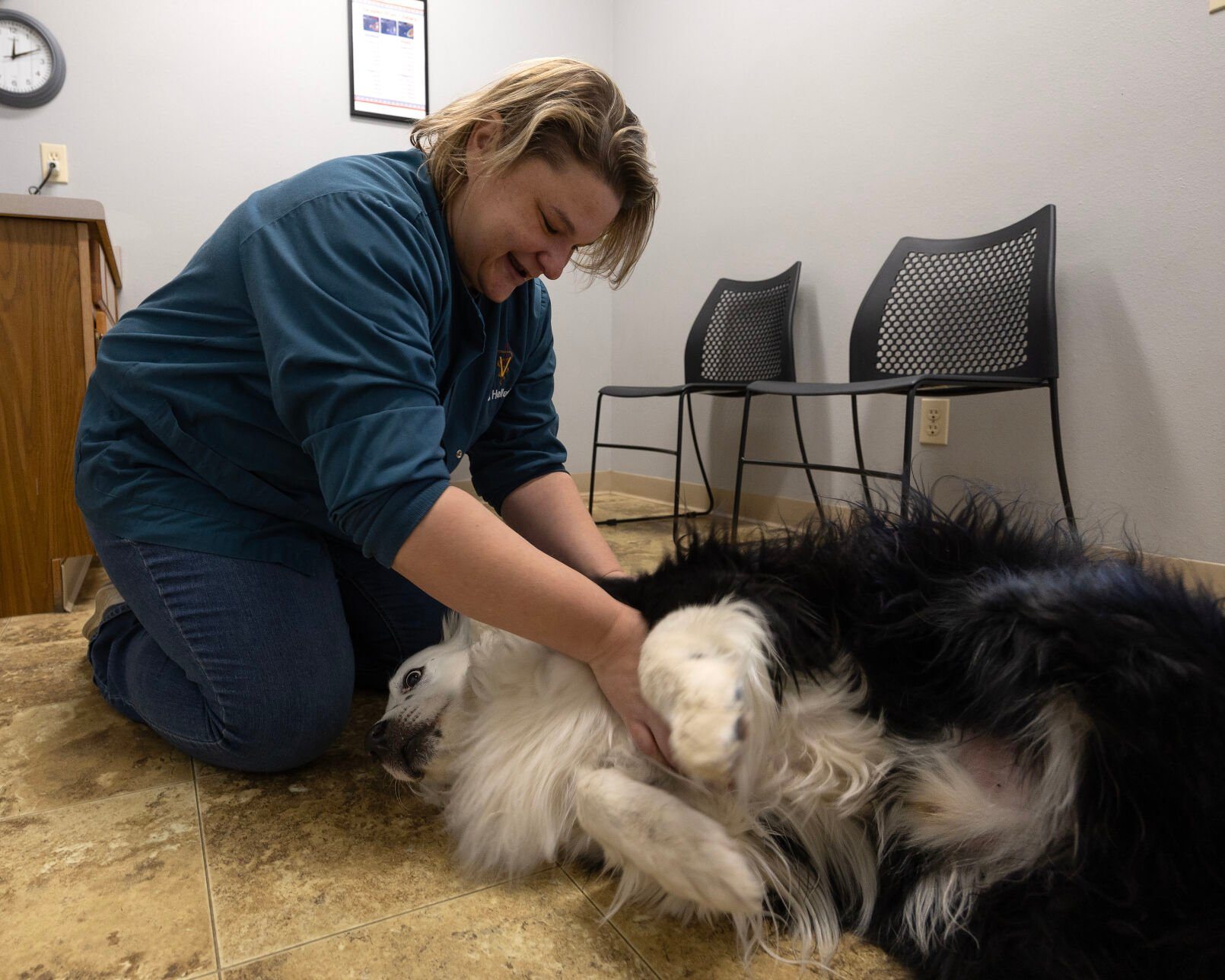 Dr. Mackenzie Hellert pets a dog, Martin, at PetMed of Key West Veterinary Clinic in Dubuque on Friday.    PHOTO CREDIT: Gassman