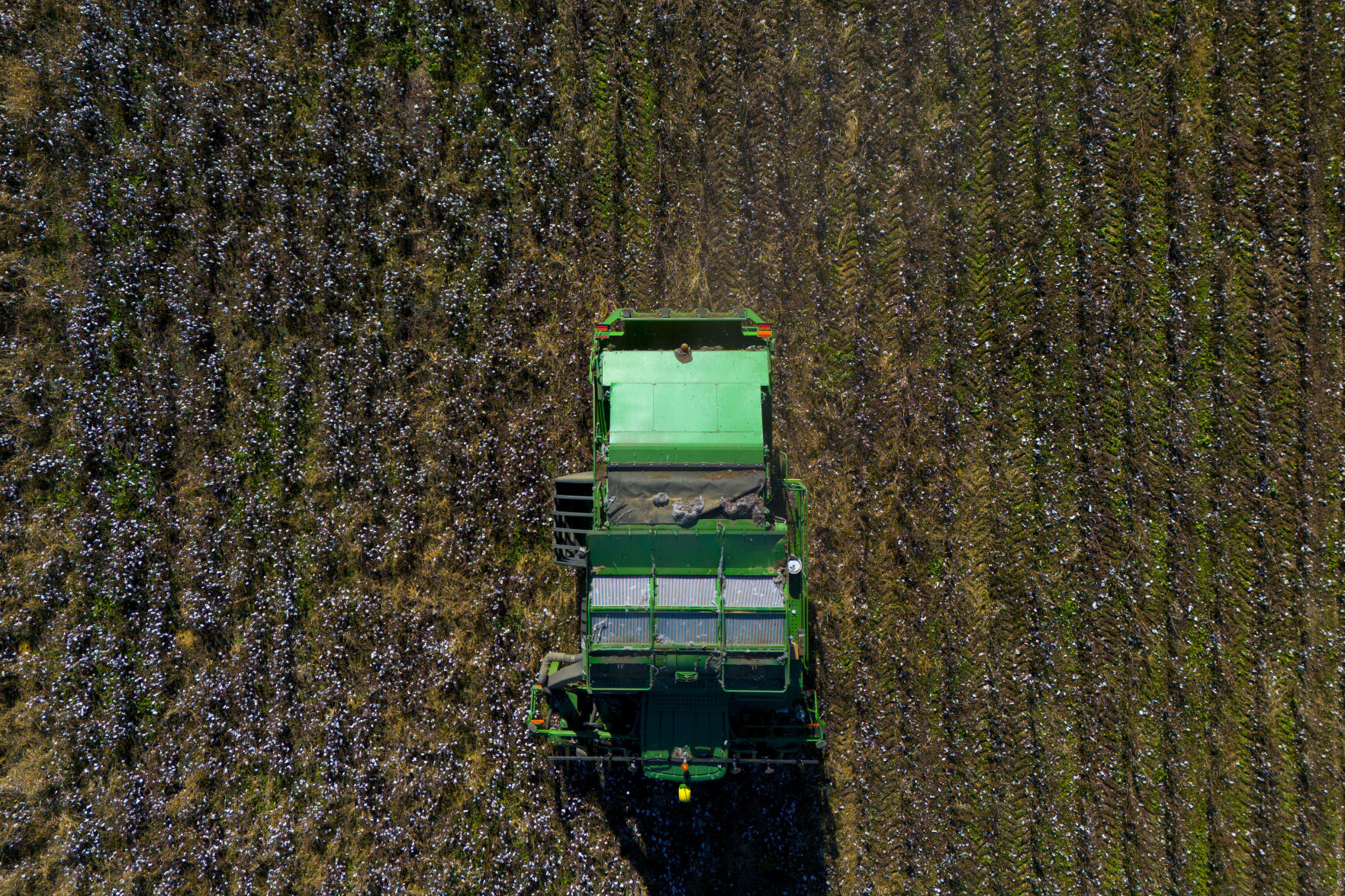 <p>A cotton picker works in a field of cotton, Friday, Dec. 6, 2024, near Lyons, Ga. (AP Photo/Mike Stewart)</p>   PHOTO CREDIT: Mike Stewart - staff, ASSOCIATED PRESS