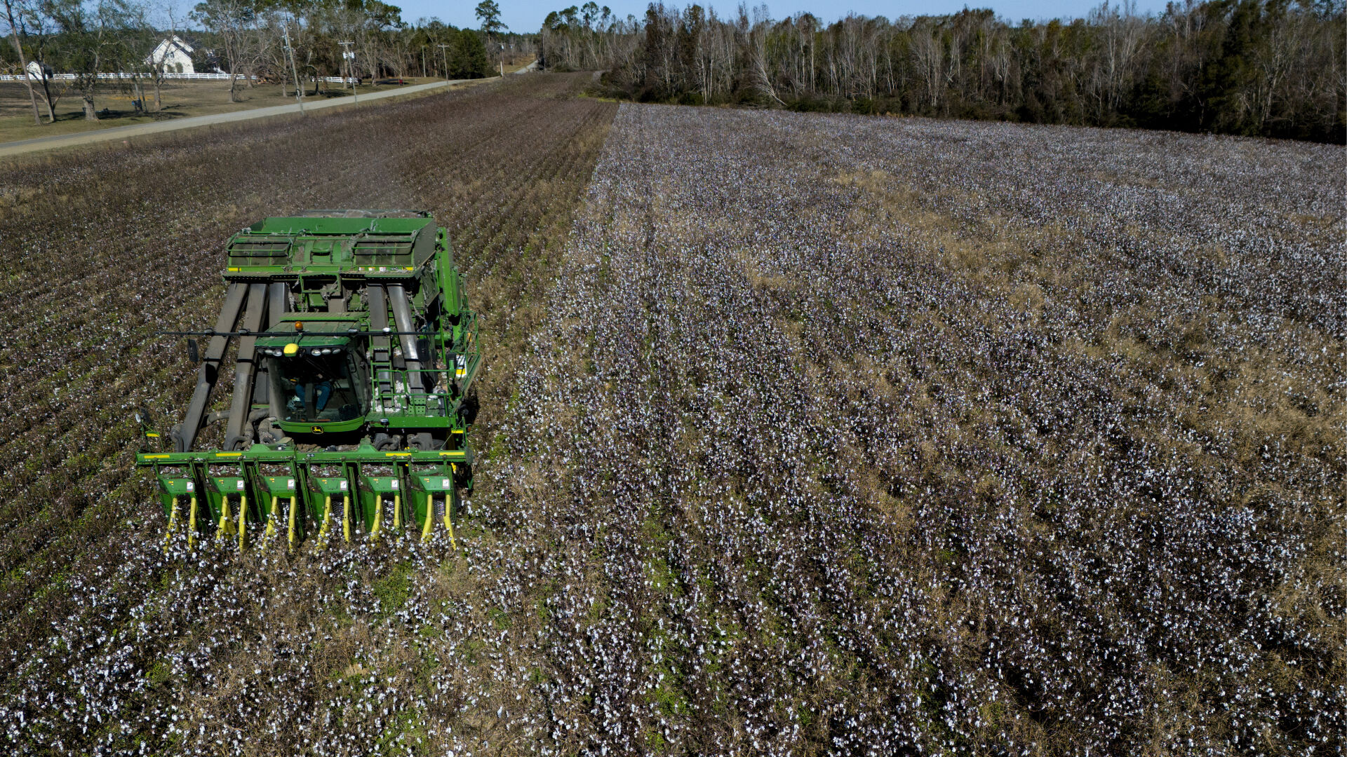 <p>A cotton picker works in a field of cotton, Friday, Dec. 6, 2024, near Lyons, Ga. (AP Photo/Mike Stewart)</p>   PHOTO CREDIT: Mike Stewart - staff, ASSOCIATED PRESS