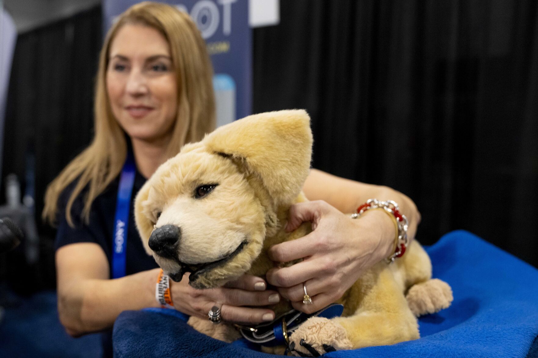 <p>Tombot, a robotic dog for people who can not have a real pet, gets a scratch during 2025 CES Unveiled, Sunday, Jan. 5, 2025, in Las Vegas. (AP Photo/Jack Dempsey)</p>   PHOTO CREDIT: Jack Dempsey 